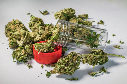 Marijuana &agrave; des fins m&eacute;dicinales