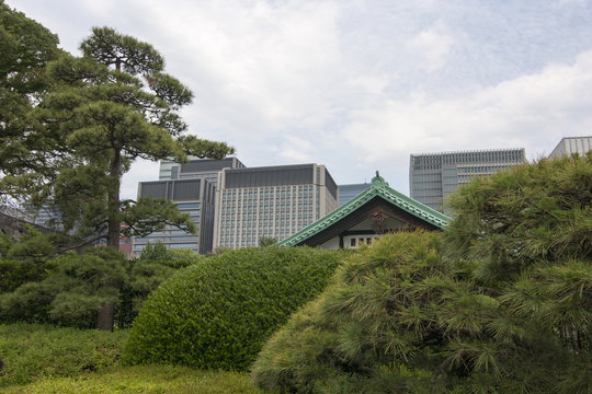 Giardini palazzo imperiale, Tokyo, Giappone, Estremo Oriente