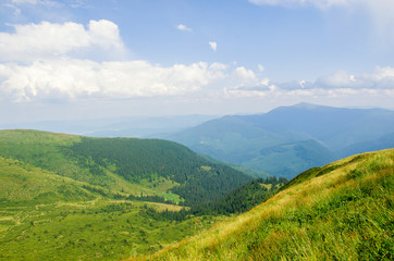 Fototapeta na wymiar Summer landscape Carpathian Mountains