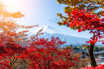 Mount Fuji and red maple tree