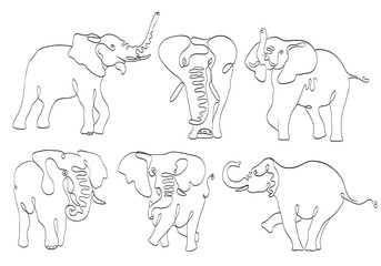 set of elephants line art on white. stylized drawing by hand of wild. vector illustration