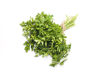 Fresh parsley isolated