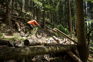 Biker is riding downhill in the old forest.