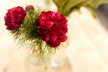 a bouquet of beautiful red peonies on green background