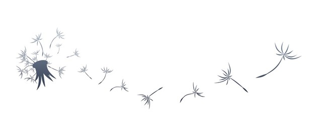 Fototapeta premium Logo mniszka lekarskiego.