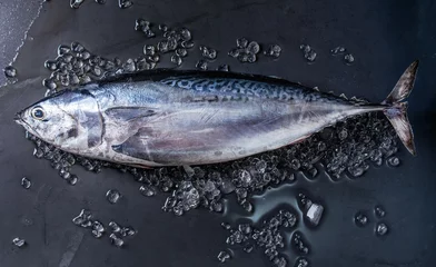 Fotobehang Vis Rauwe verse hele tonijn op crushed ijs over donkere natte metalen achtergrond. Bovenaanzicht met spatie