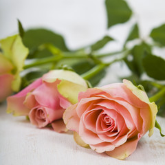 Fototapeta premium Pink roses on a wooden background.