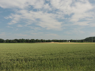 Sommerliche Landschaft am Niederrhein bei Wickrath Juni