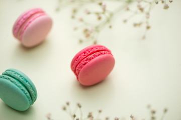 Dessert. Sweet macarons or macaroons with flowers.