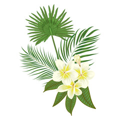 Fototapeta na wymiar Hand drawn tropical palm leaves and frangipani composition with jungle exotic flower on white background Botanical vector illustration