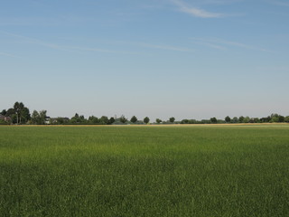 Niederrheinische Tiefebene bei Wickrath