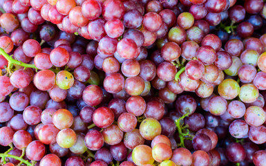 Red wine grapes background