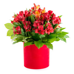 flowers in the gift box Isolated on white background