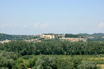 Fototapeta na wymiar The Popes' Palace of Avignon
