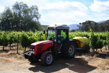 Vinyard Red Tractor