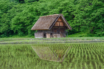 Fototapeta na wymiar Historical village of Shirakawa-go. Shirakawa-go is one of Japan's UNESCO World Heritage Sites located in Gifu Prefecture, Japan.