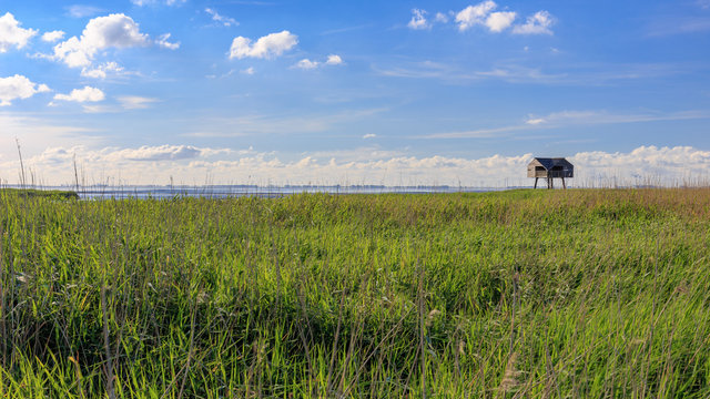 Wattenmeer am Dollard