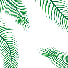 Fototapeta na wymiar Time of summer vacation. Vector illustration of summer vacation background with palm trees.