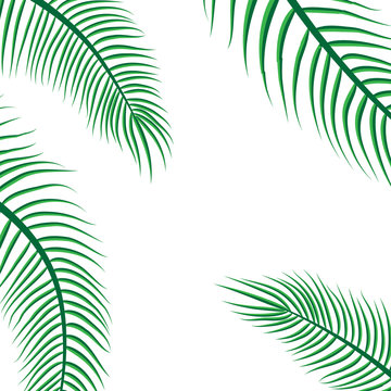 Time of summer vacation. Vector illustration of summer vacation background with palm trees.