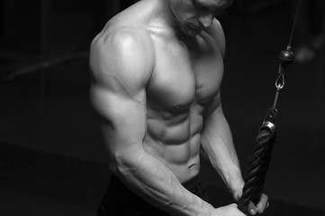 Fototapeta na wymiar Muscular male bodybuilder doing triceps exercise