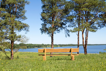 Wooden bench at park with lake view