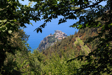 panorama sul borgo di Corniglia - Cinque Terre