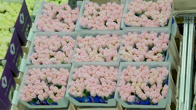 892_Top_view_of_the_fresh_roses_in_the_boxes.mov