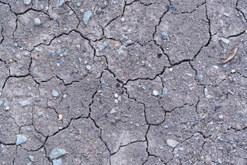 Dry land or dry soil. Cracked ground background.