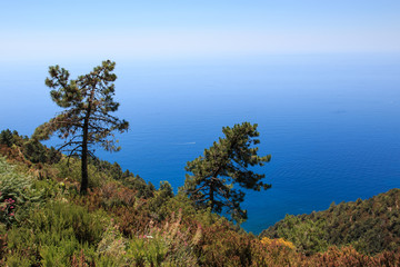 Fototapeta premium Cinque Terre - escursione tra Manarola e Corniglia