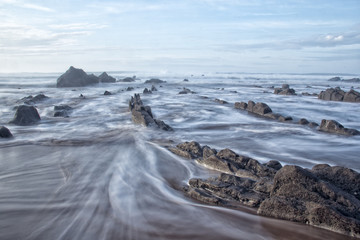 landscape in the beach