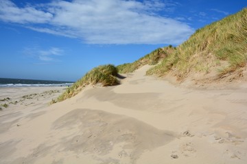 Düne auf Tegel, Niederlande