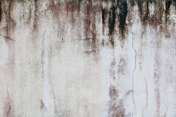 Fototapeta premium old white concrete crack wall and copy space for add text