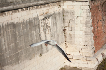 verona romeo y julieta