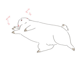 うさぎ