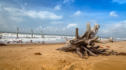 Scenic Indian sea beach with moody sky and an uprooted tree trunk on the beach sand. Photograph taken at a rural beach of West Bengal, India.