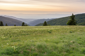 French countryside - Vosges. Sunrise in the Vosges with a view of the Rhine valley and the Black Forest (Germany) in the background.
