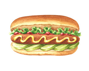 Hand drawn watercolor delicious hotdog, isolated on white background. Food illustration.  