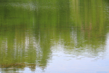 Fototapeta na wymiar water reflection with shadow tree and sky in public park