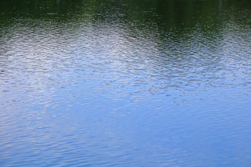water reflection with shadow tree and sky in public park