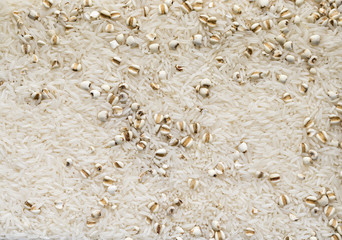 Mixed rice and tear jobs