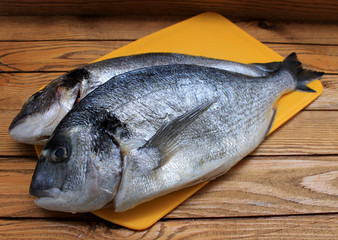 Dorado fish, sea bass prepared for cooking