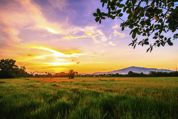 Fototapeta premium Landscape of open field in evening time