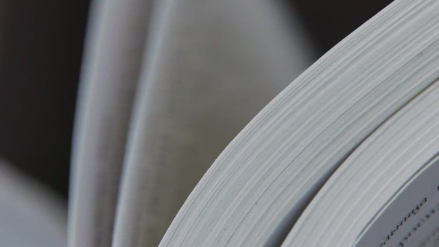 Book pages. The book, reading. A woman's hand holds the pages of the book. A woman's hand turns over the pages of the book. Concept: reading, books, bookmark.