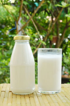 bottle and glass of milk on bamboo mat in garden