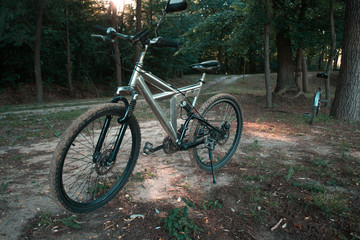 Fototapeta premium Mountain bike on a forest road in the evening.