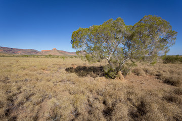 The Ramparts of the Cockburn Range stand high and proud above the ancient Kimberley landscape, concealing hidden waterfalls that plunge from the high plateau in hidden valleys.