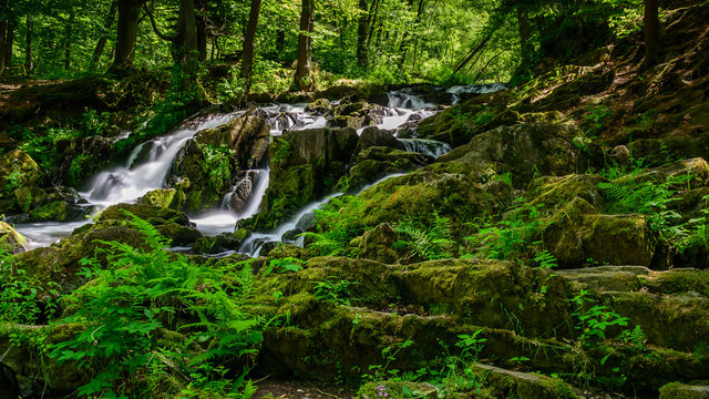 Selkefall