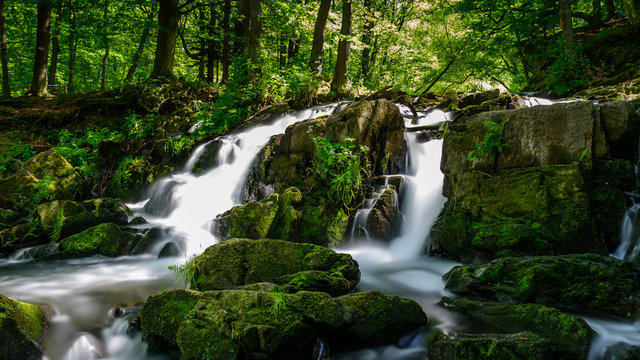 Selkefall