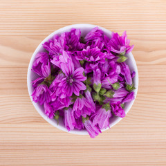 pink mallow flowers / Bowl of wild mallow flowers