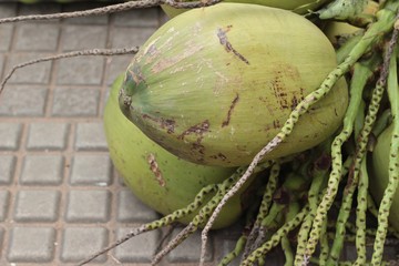 Fresh coconut is a bunch.
